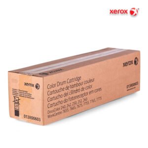 Drum Xerox 013R00603