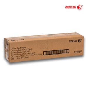 Drum Xerox 013R00662